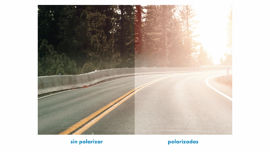 polarizadas_carretera