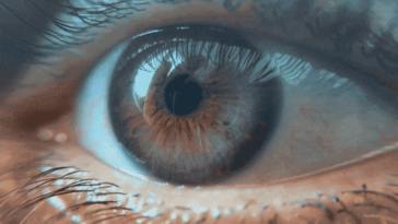 Curiosidades sobre la pupila